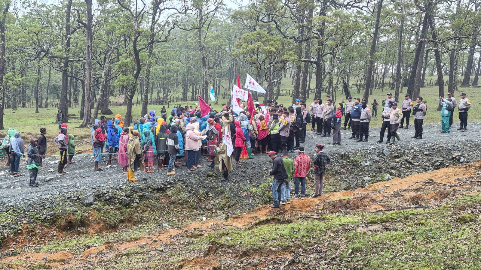 Tolak Status Taman Nasional, AMBARA TTS Hadang Kunjungan Komisi IV DPR RI dan Dirjen KSDAE di Mutis Timau