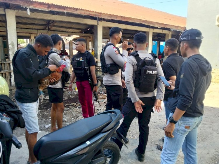Dugaan Sabung Ayam di Oebobo Dibubarkan, Polisi Ancam Tindak jika Terulang