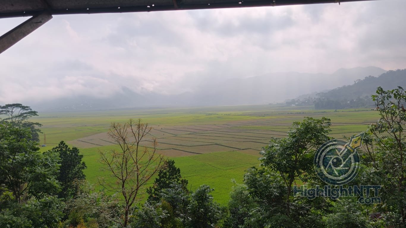 Mengapa Fenomena Haze di Manggarai Terjadi? Ini Penjelasan Resmi BMKG